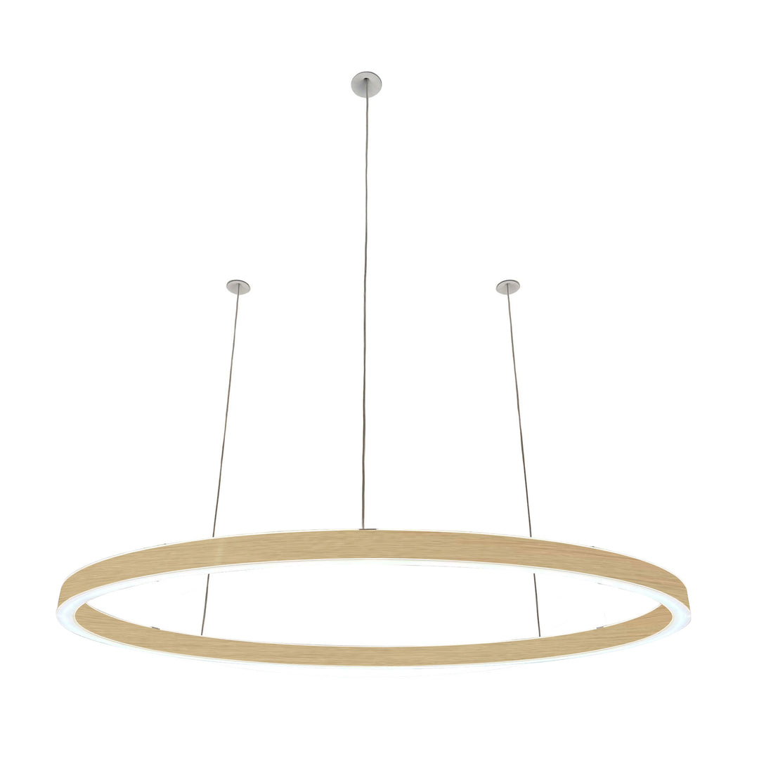 Suspension ovale 24V