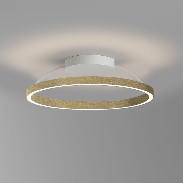 Plafonnier à boucle