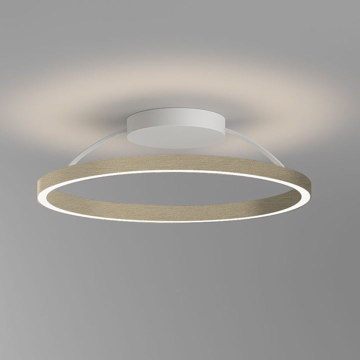 Plafonnier à boucle