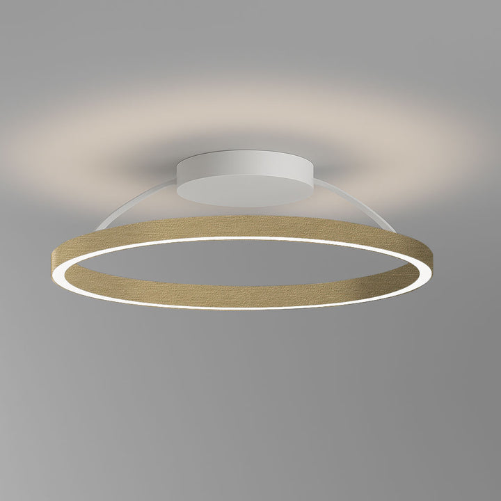 Plafonnier à boucle