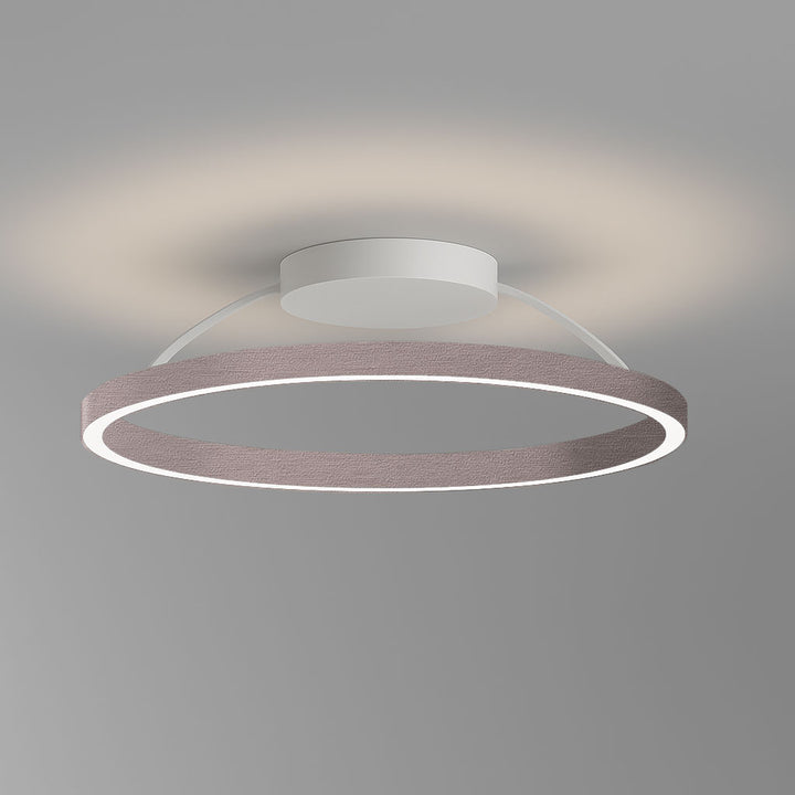 Plafonnier à boucle