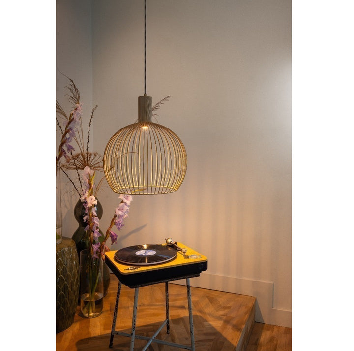 Wire pendant light