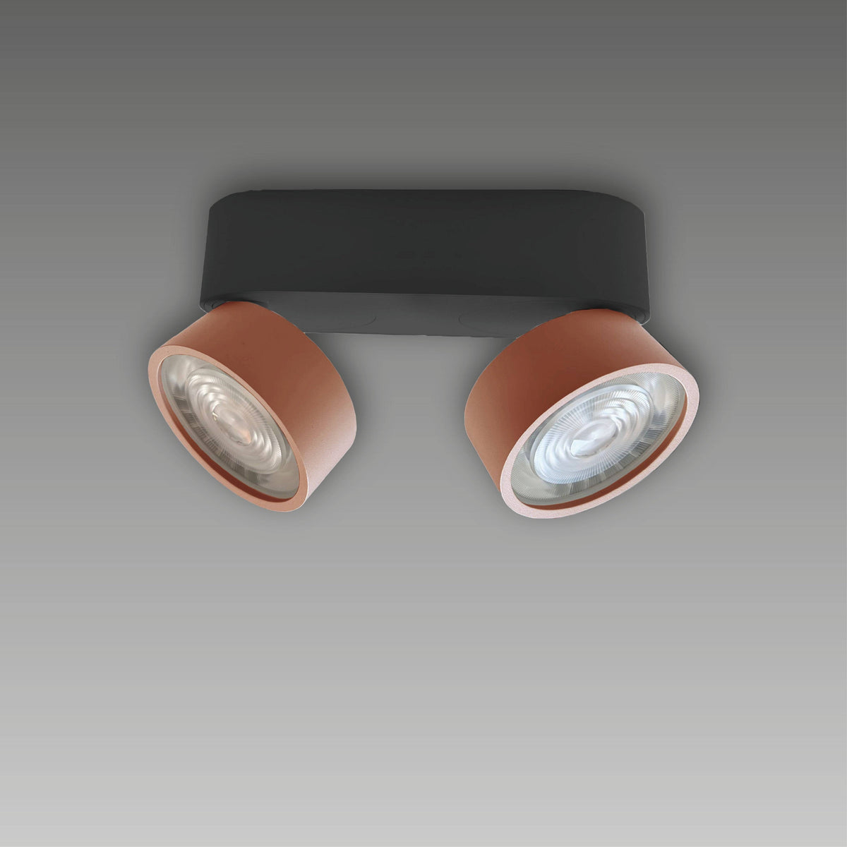 LUX-IT, Aufbaustrahler Swing Out 2-flammig, Schwarz-Bronze, Produktbild