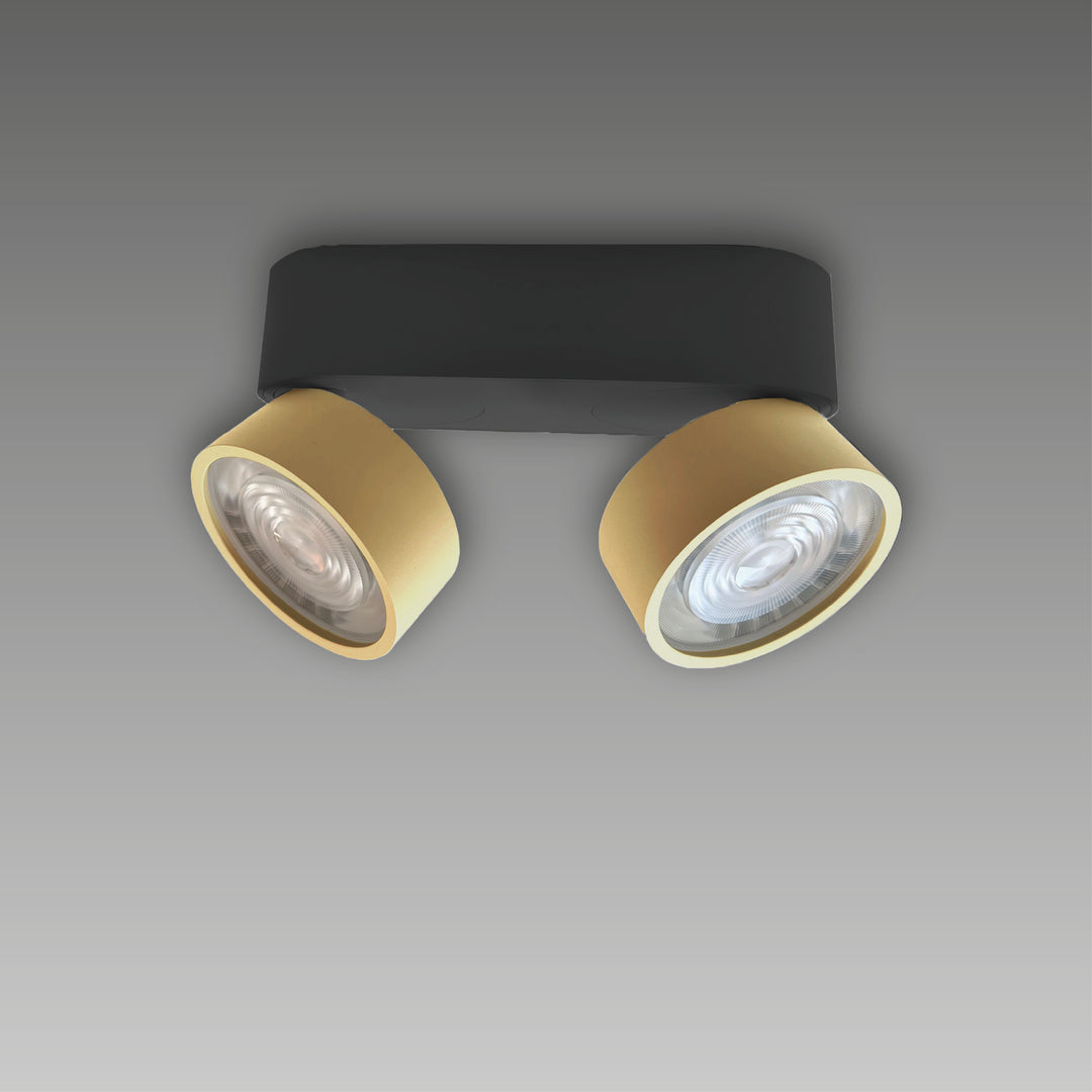 Projecteur à deux lumières pivotant en saillie