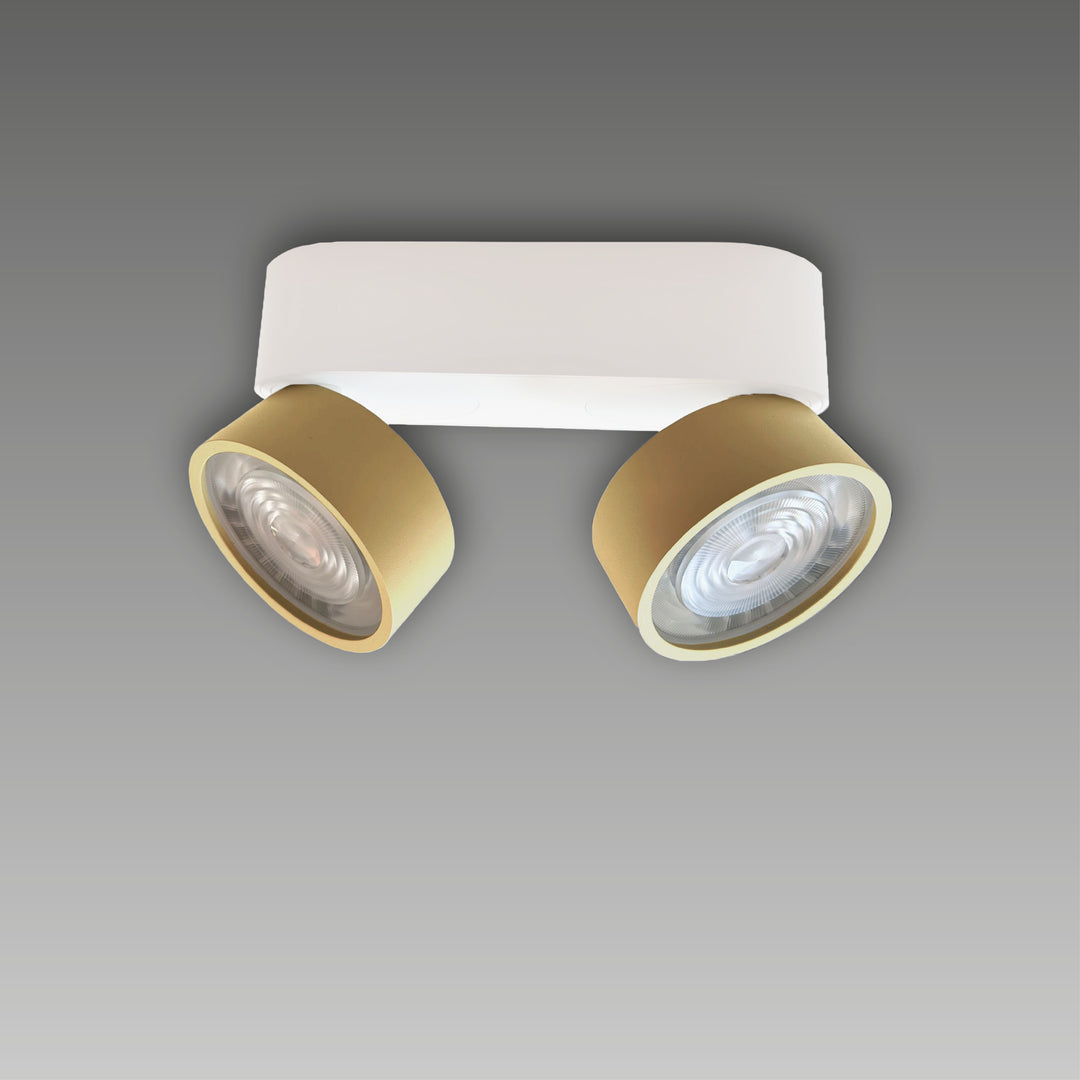 Projecteur à deux lumières pivotant en saillie