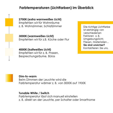 Licht-Kraus