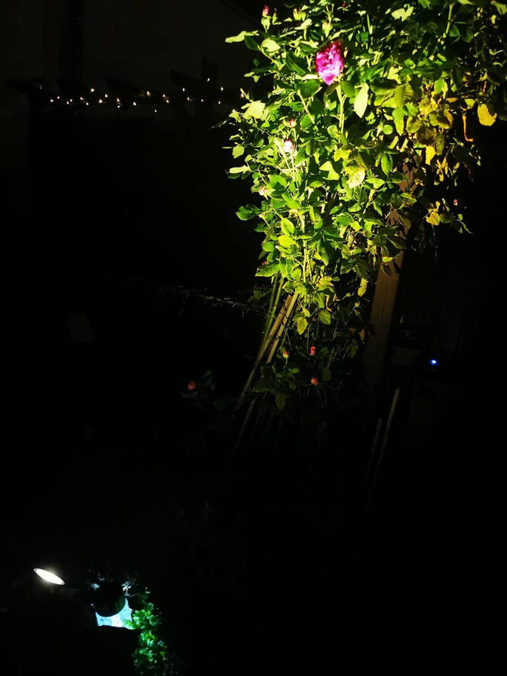 Lampe solaire sur piquet, anthracite