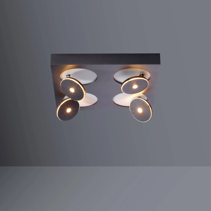 Ceiling spotlight Spot it