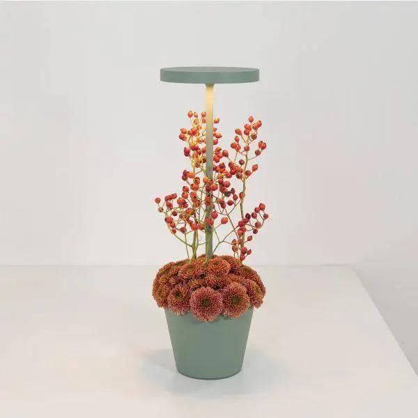 Zafferano, Poldina Reverso, Salbei Detail, hochwertige Akku Beleuchtung