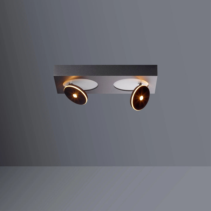 Ceiling spotlight Spot it