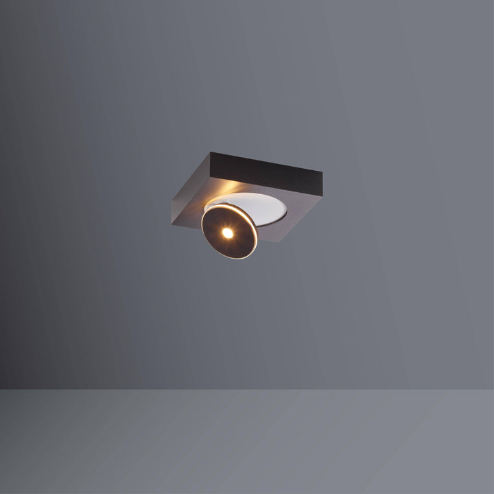 Ceiling spotlight Spot it