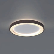 Nahaufnahme der Deckenleuchte Loud PRO 24V mit LED-Ring, energiesparend, elegantes Lichtdesign